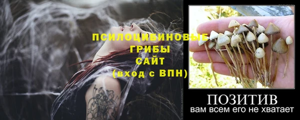гидра Алзамай