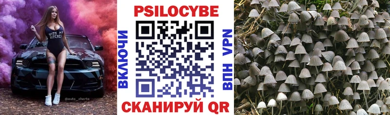 Галлюциногенные грибы Psilocybine cubensis  ОМГ ОМГ ссылки  Талдом 